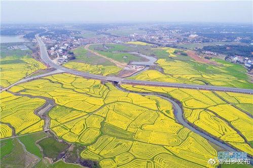 汨罗最新爆料新闻网,揭秘背后惊人真相